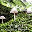 Fungal