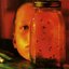 Jar of Flies