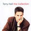 Terry Hall - The Collection