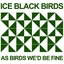 As Birds We'd Be Fine