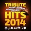 Hits 2014 (Tribute to Daft Punk, Pharrell Williams, Stromae... )