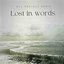 Lost in Words (Remix)