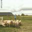Beth's Farm