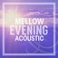 Mellow Evening Acoustic