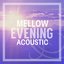 Mellow Evening Acoustic