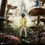 Wonderland - Single