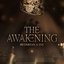 THE AWAKENING