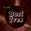 One Hour With Burl Ives