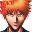 BLEACH THE BEST