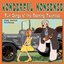 Wonderful Nonsense : Fun Songs of The Roaring Twenties