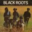 Black Roots