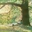 Plastic Ono Band