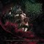 Transfixed Effervescent Human By Verdure Creatures