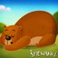 Stary Niedźwiedź - Single