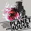 Planet House, Vol. 14 (A Selection of Big Room & Progressive House Tunes)