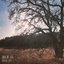 Tree of Life