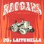 20v Laitumella
