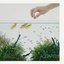 AQUAPIT