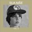 Sua Mãe, Vol. 2