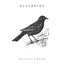 Blackbird