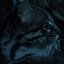 Tiger Castle's Hopefully Relaxing Quasi-Asmr Adventure for Fun or Profit