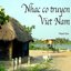 Nhac Co Truyen Viet Nam