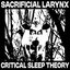 Critical Sleep Theory [Explicit]