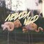 Welcome to Nevada Wild