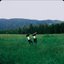 Love Me Too Well, I'll Retire Early [Explicit]