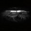 Dark Shines