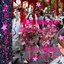 血のパレード2[bl166dparade2]