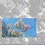 Красный ротманс - Single