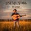 Lost My Spark - Single