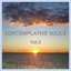 Contemplative souls, Vol. 3