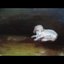 All Dogs Go to Heaven