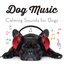 Dog Music - Calming Songs for Dogs