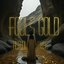 Fools Gold