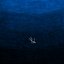 blue hell