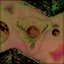 Spatial Moods