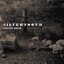 Silvertooth