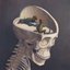 Reptile Brain