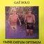 Gaë Bolg vs. Omne Datum Optimum