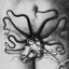 Organon / Biche - Split