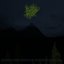 Paranoia Ensues Within the Dark Yukon Wilderness