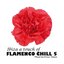 Ibiza A Touch of Flamenco Chill 5