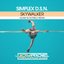 Skywalker (Adam Schofield Remix)