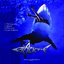 BlackTip
