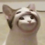 Avatar de glqzer
