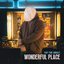 Wonderful Place - Single