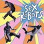 Sex Robots